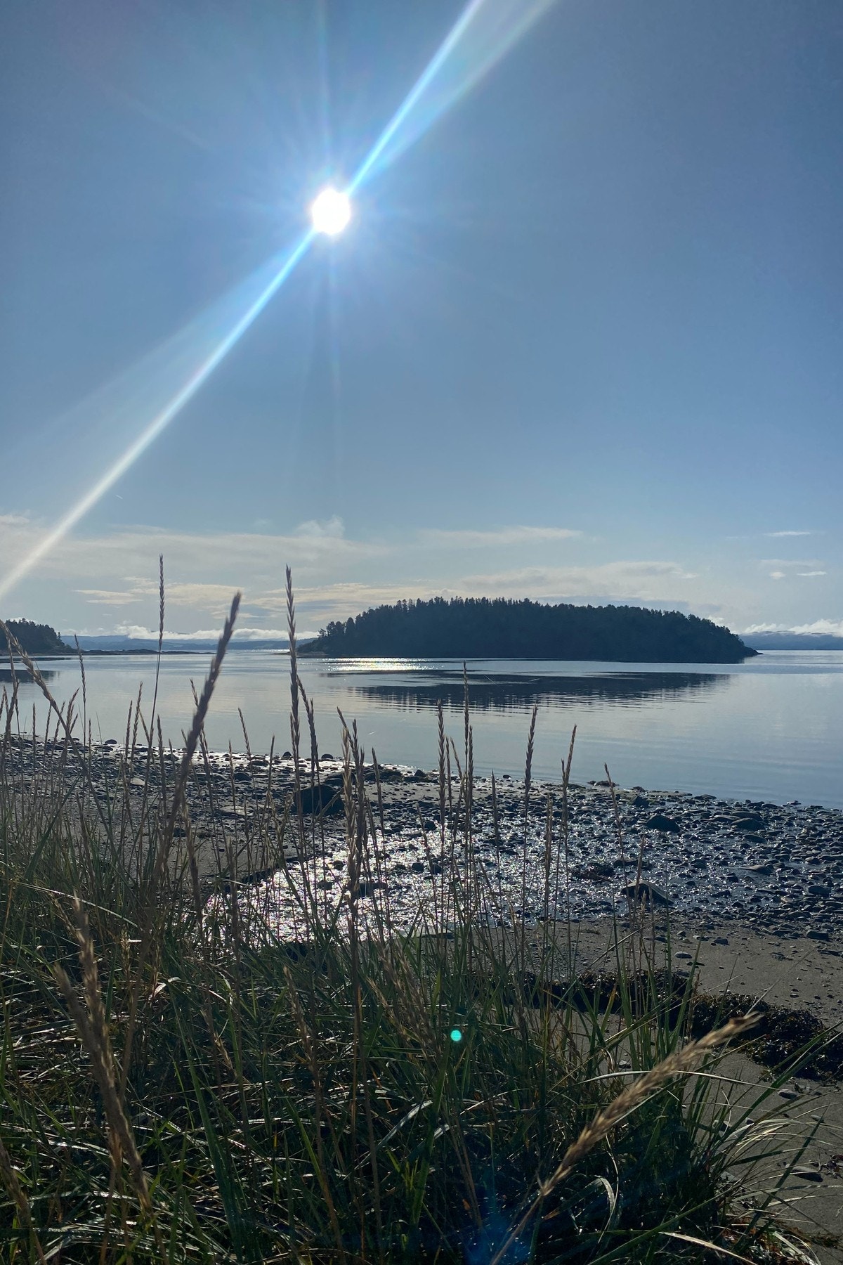 Selgers sommerbilde ved sjøen Galleribilde