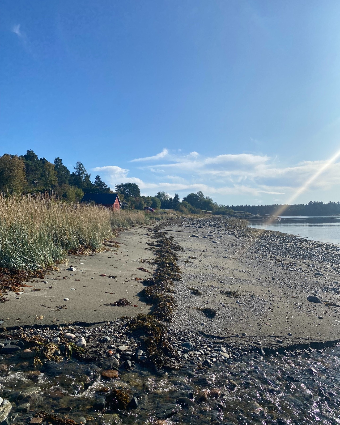 Selgers sommerbilde ved sjøen Galleribilde