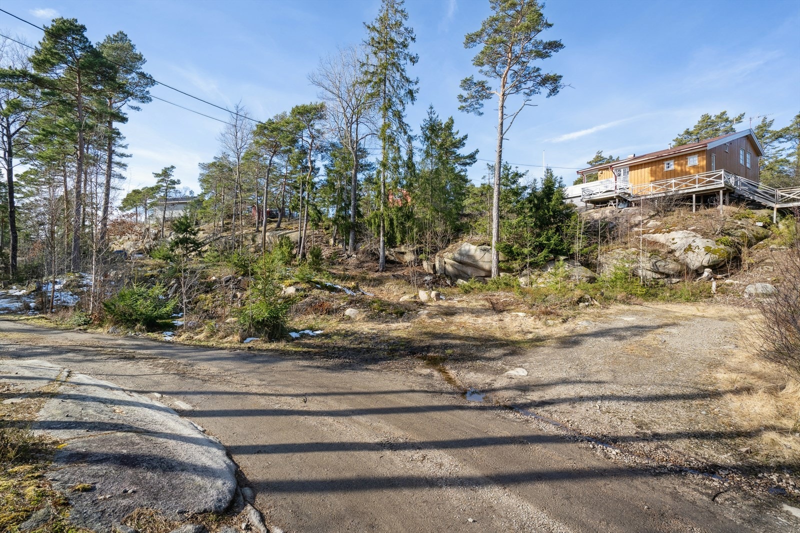 Naturtomt som består av furuskog og berg. Galleribilde