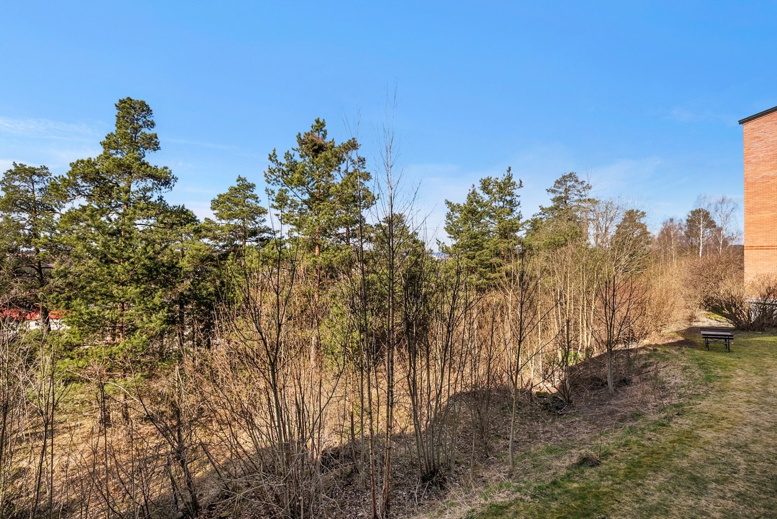 Utsyn fra balkongen. Galleribilde