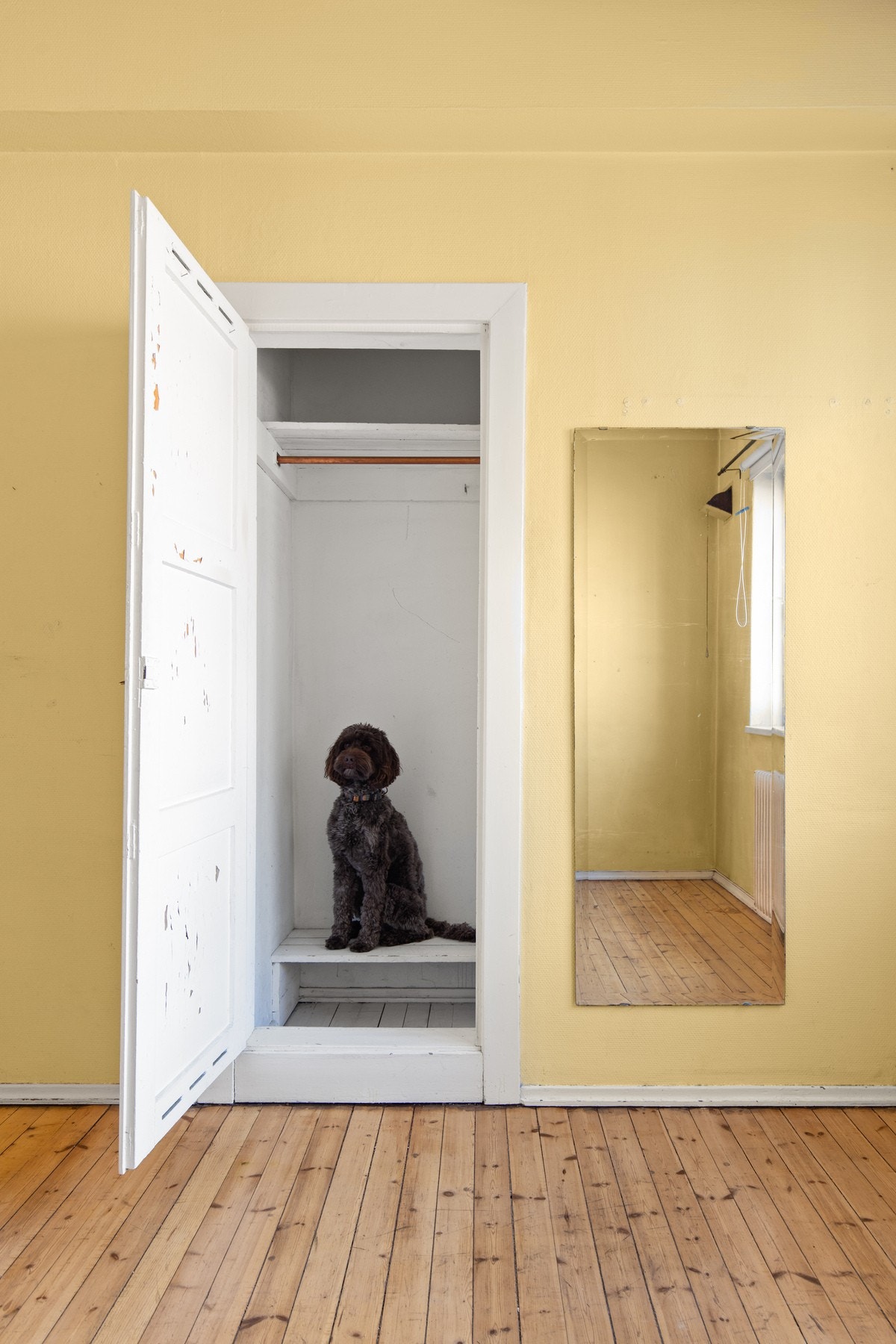 Smart kleskott eller bod for oppbevaring. (Anbefales ikke som hunderom). Galleribilde