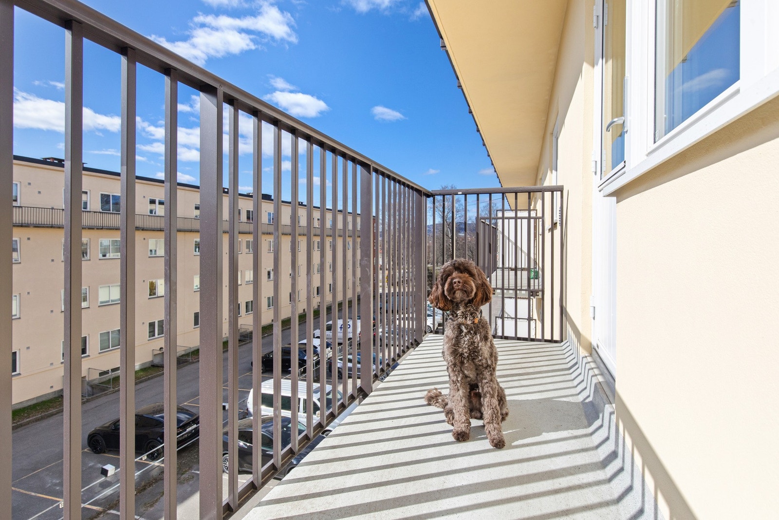 Sydvendt balkong med gode solforhold. Galleribilde