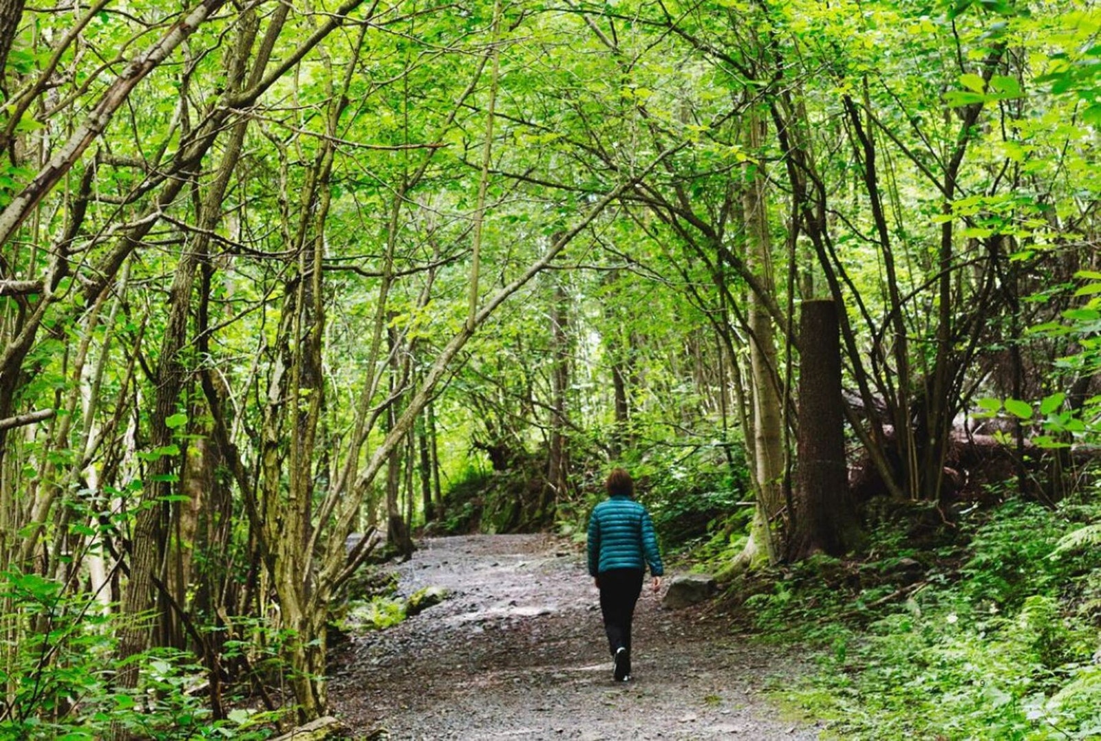 Kort vei til flotte turområder i Mærradalen. Galleribilde