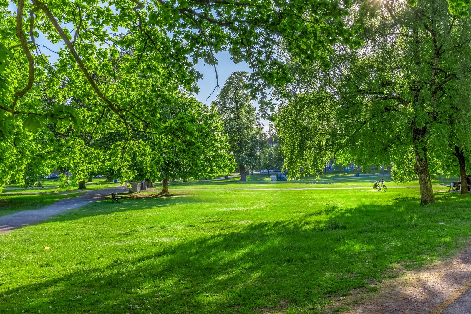 Idylliske Sofienbergparken er heller ikke langt unna Galleribilde