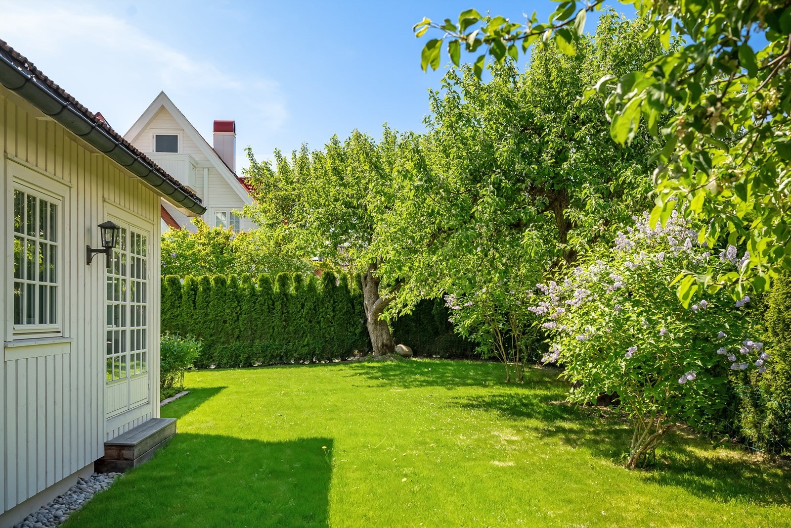 Pent opparbeidet hage med hekk, terrasse, trær og beplantning. Galleribilde