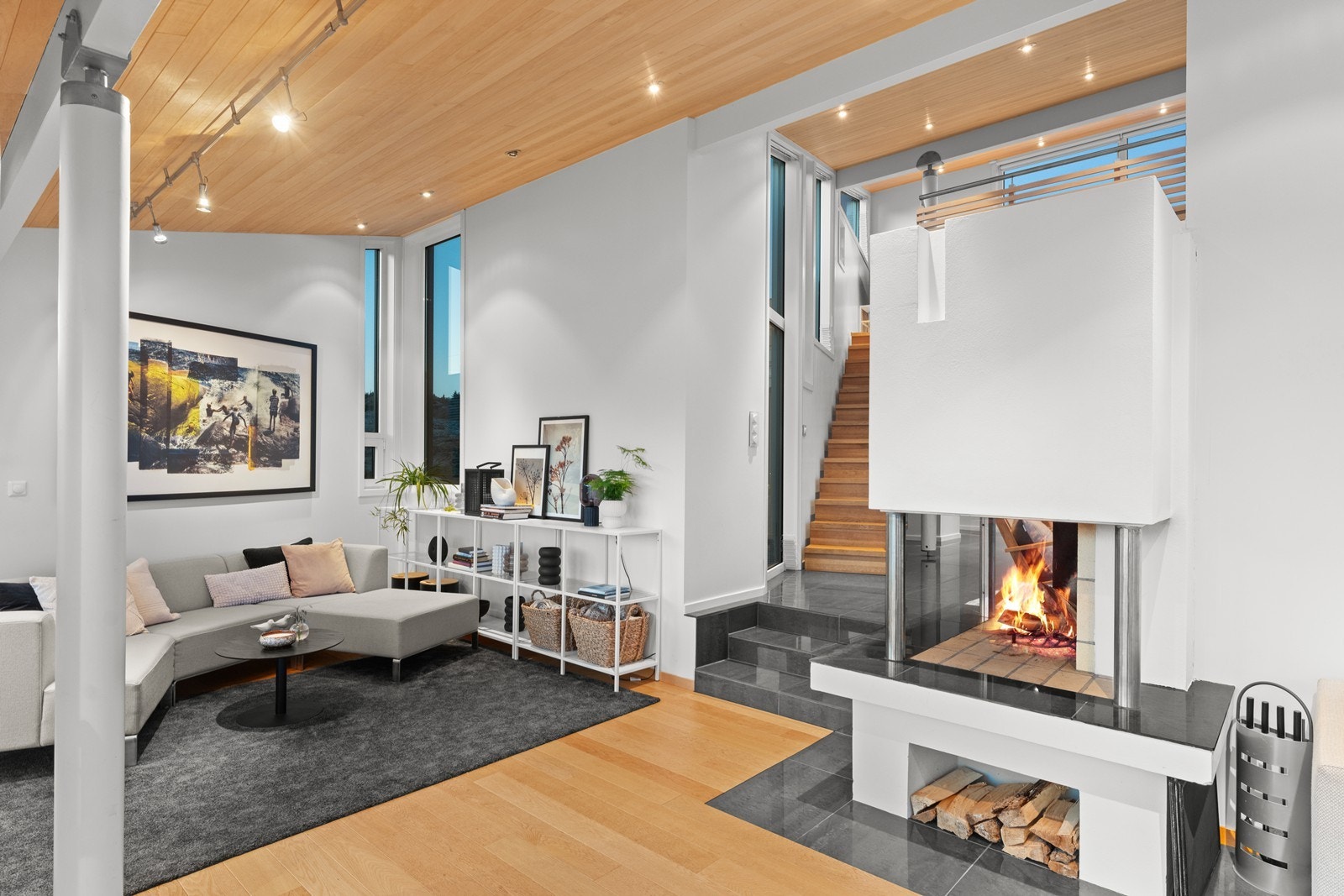 Himlingene av kvistfri osp. Galleribilde