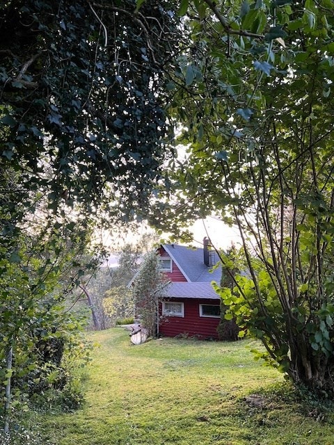 Tomten er flott opparbeidet med diverse beplantning, gressplen og terrasse Galleribilde