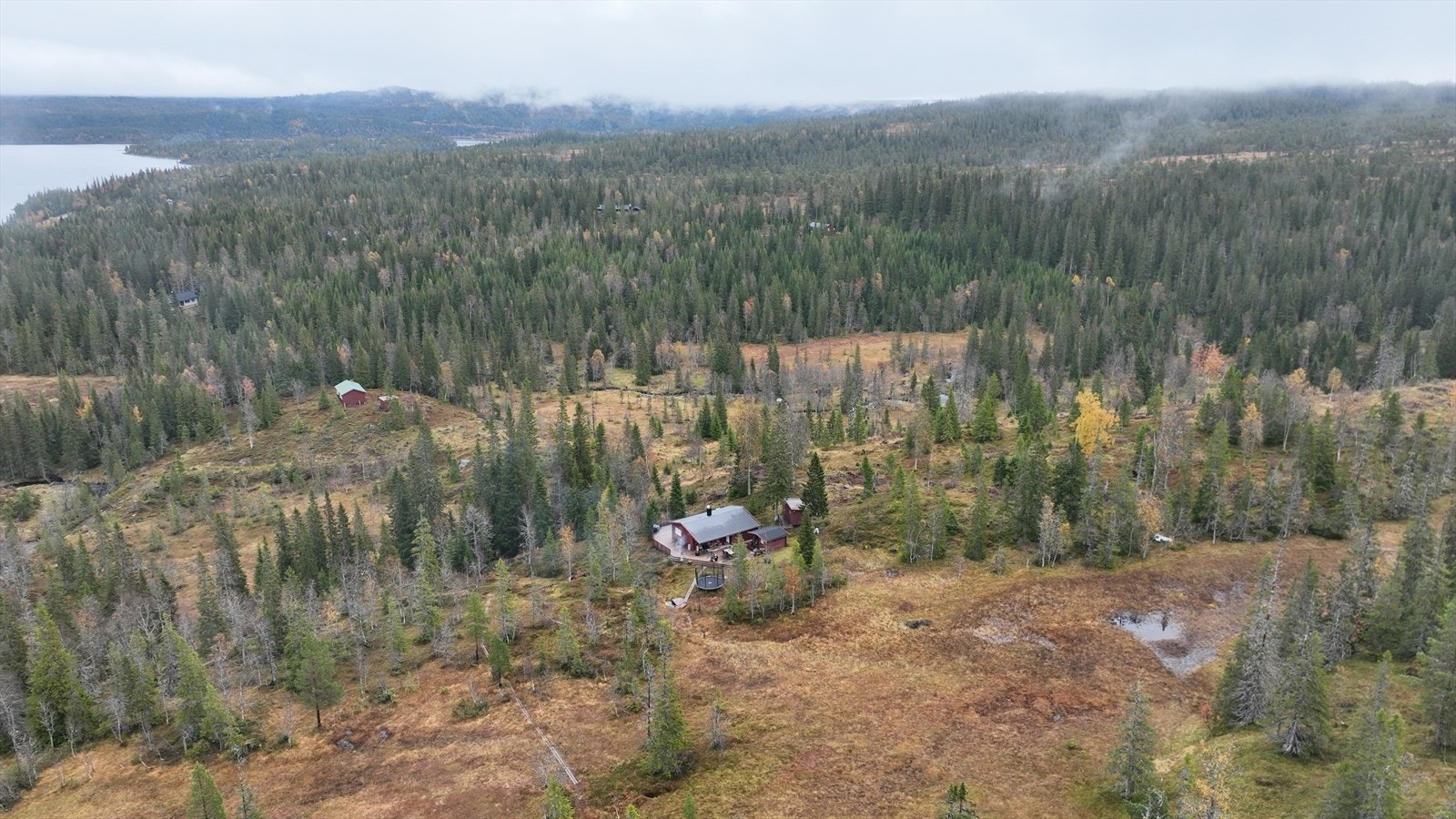 Selgers bilde Høst. Galleribilde