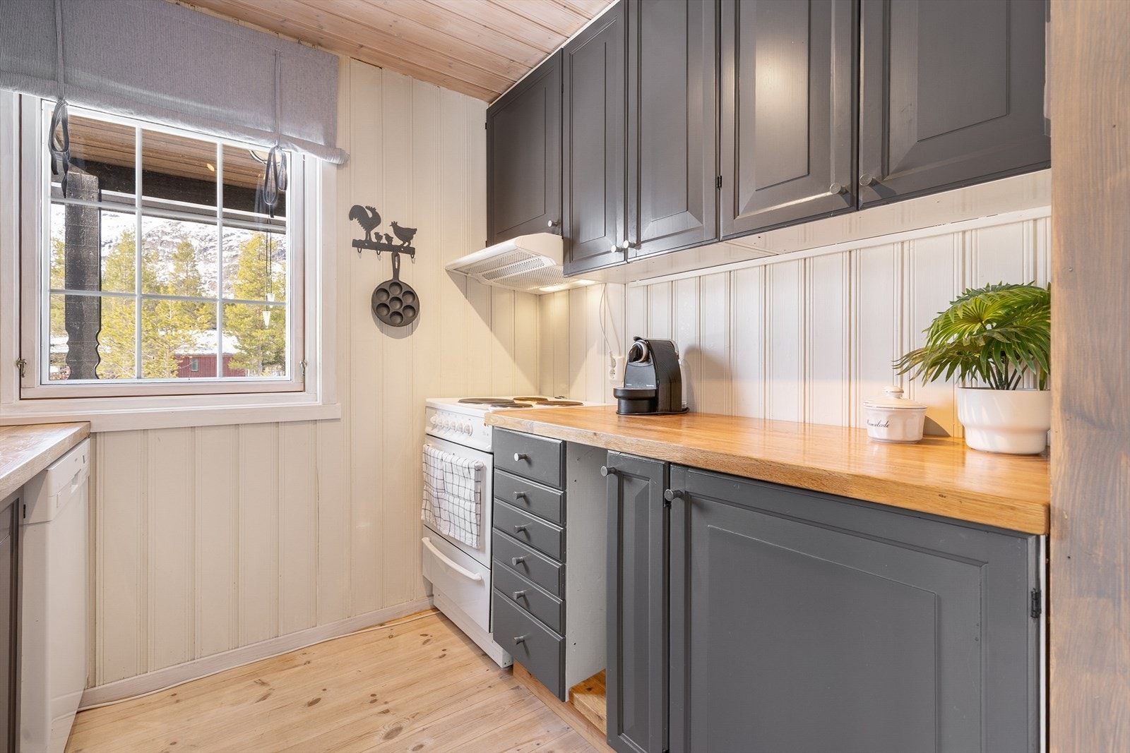 290873_DSC05089.jpg Galleribilde