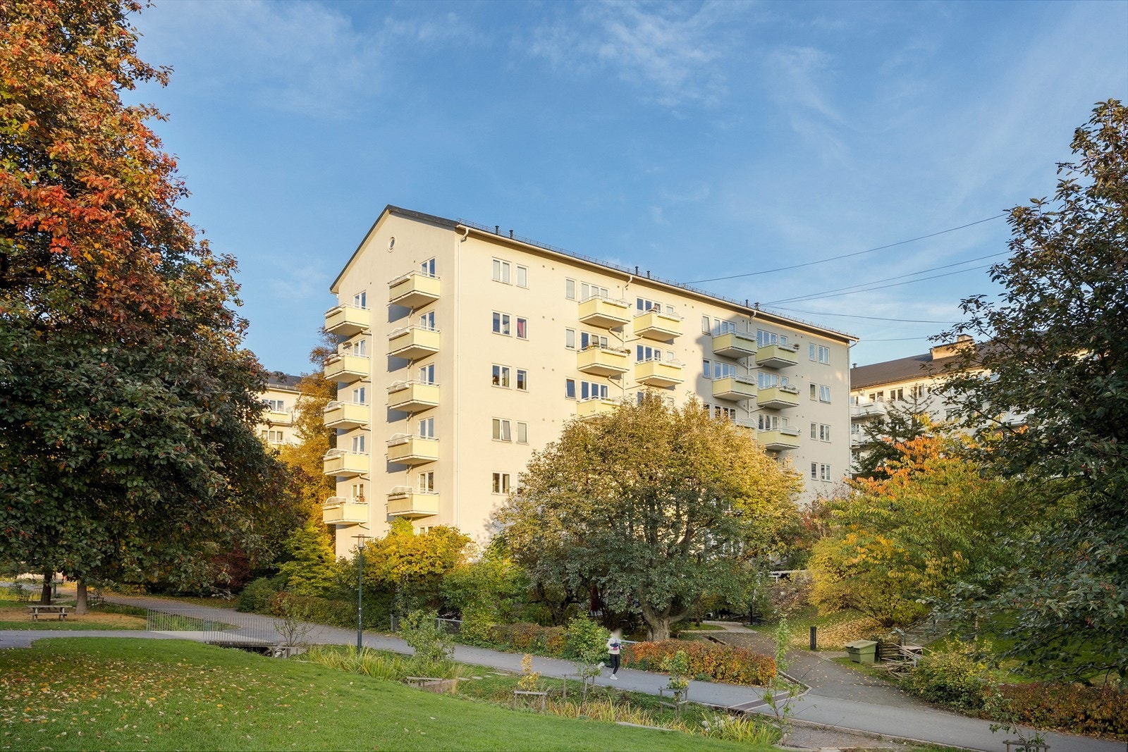 Idylliske Iladalen er leilighetens nærmeste nabo. Galleribilde