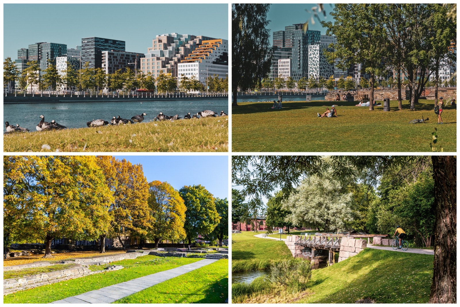 Nærområde. Galleribilde