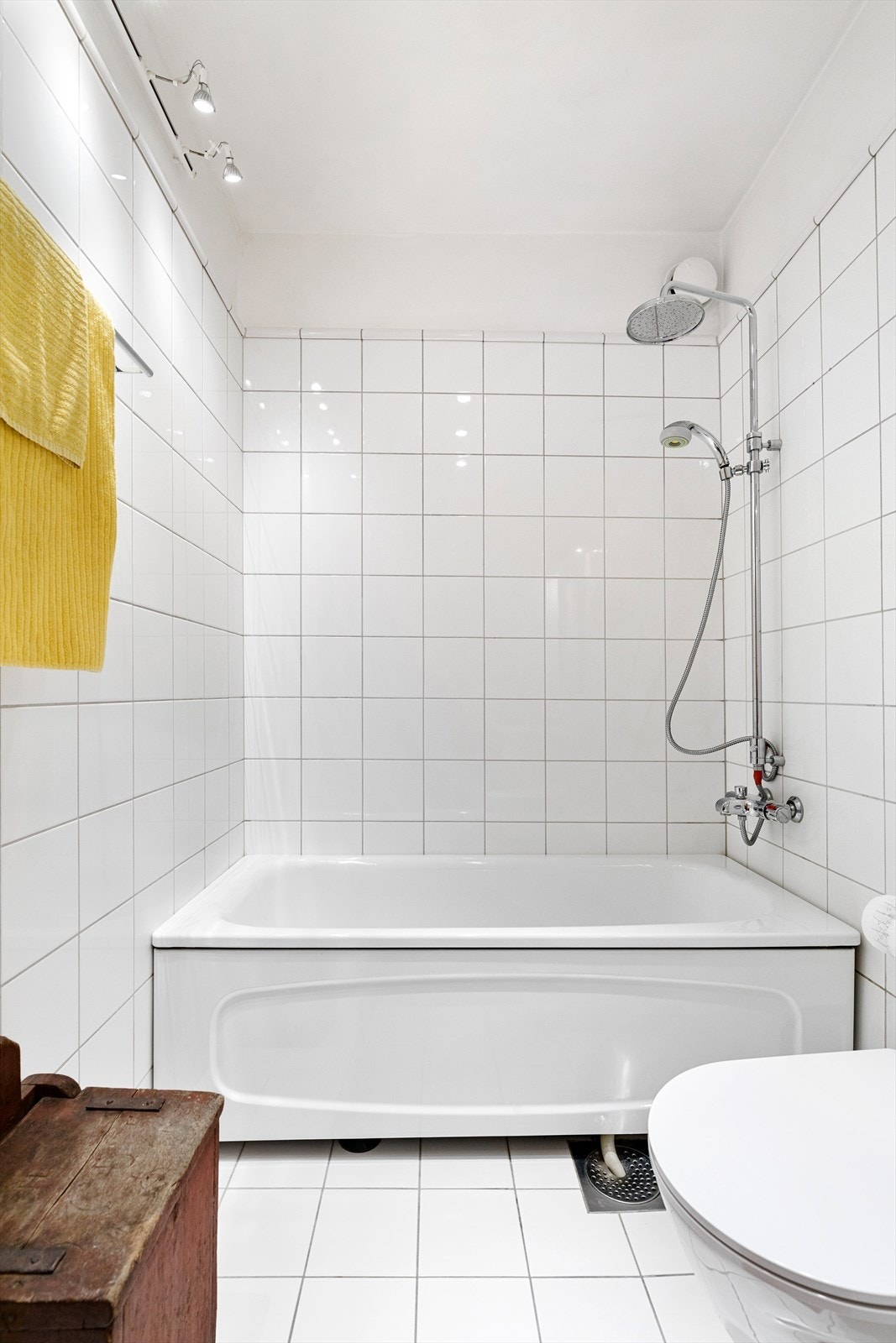Badekar med hånd- og regnfallsdusj Galleribilde