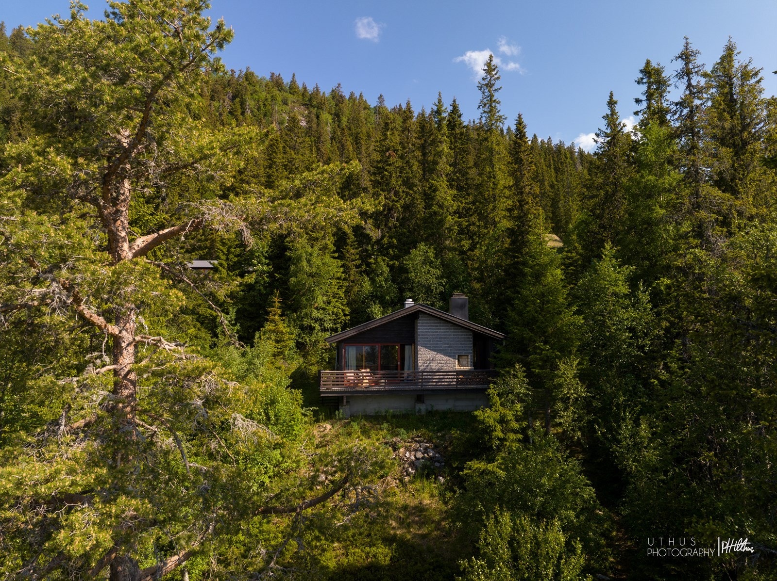 Velkommen til Kopsengseter 6 Galleribilde