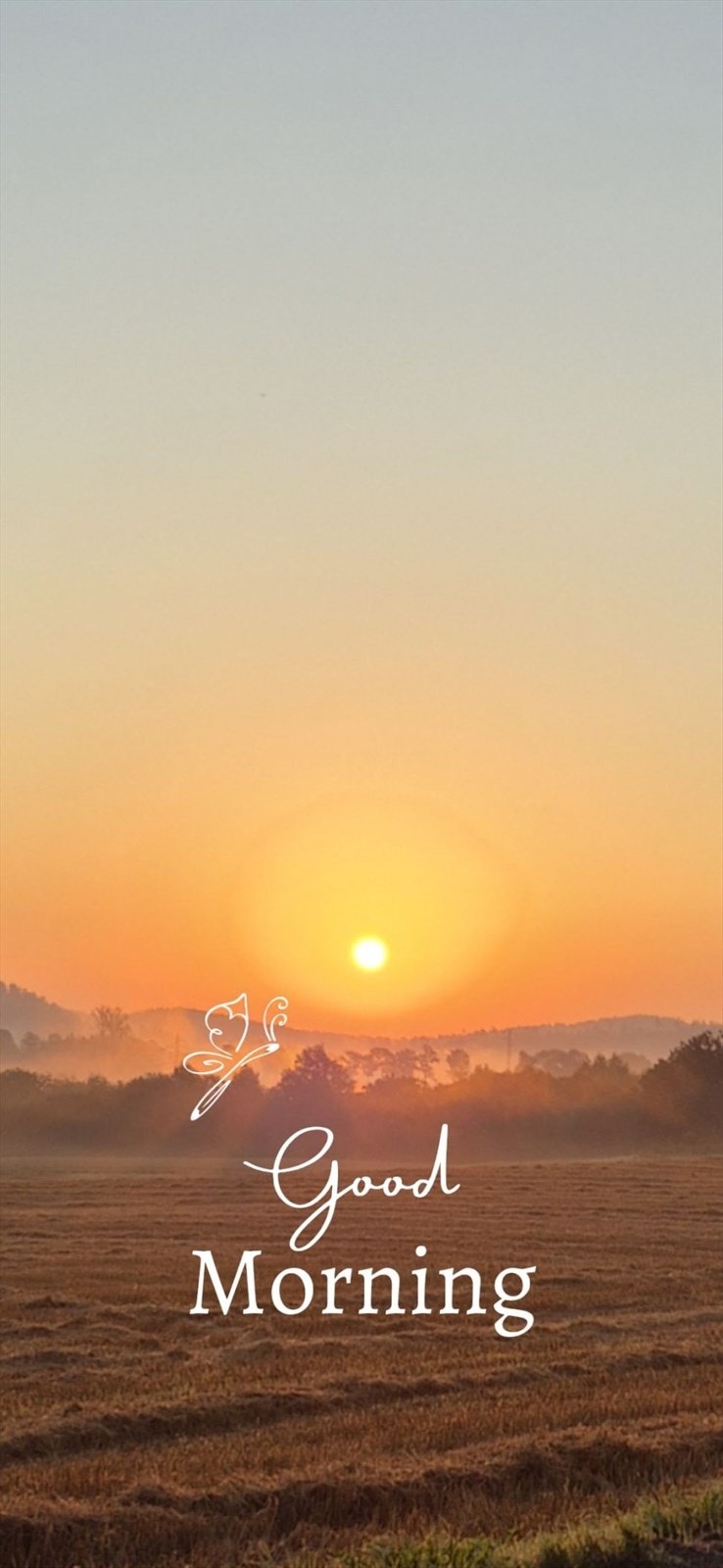 Bilde fra selger Galleribilde