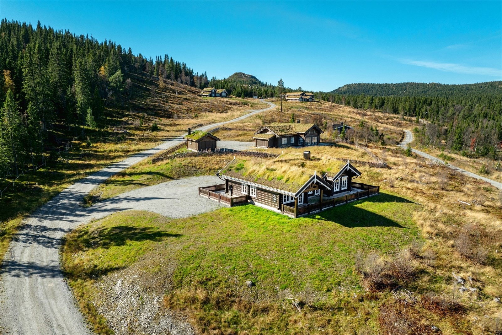 Velkommen til fjells og på visning! Galleribilde