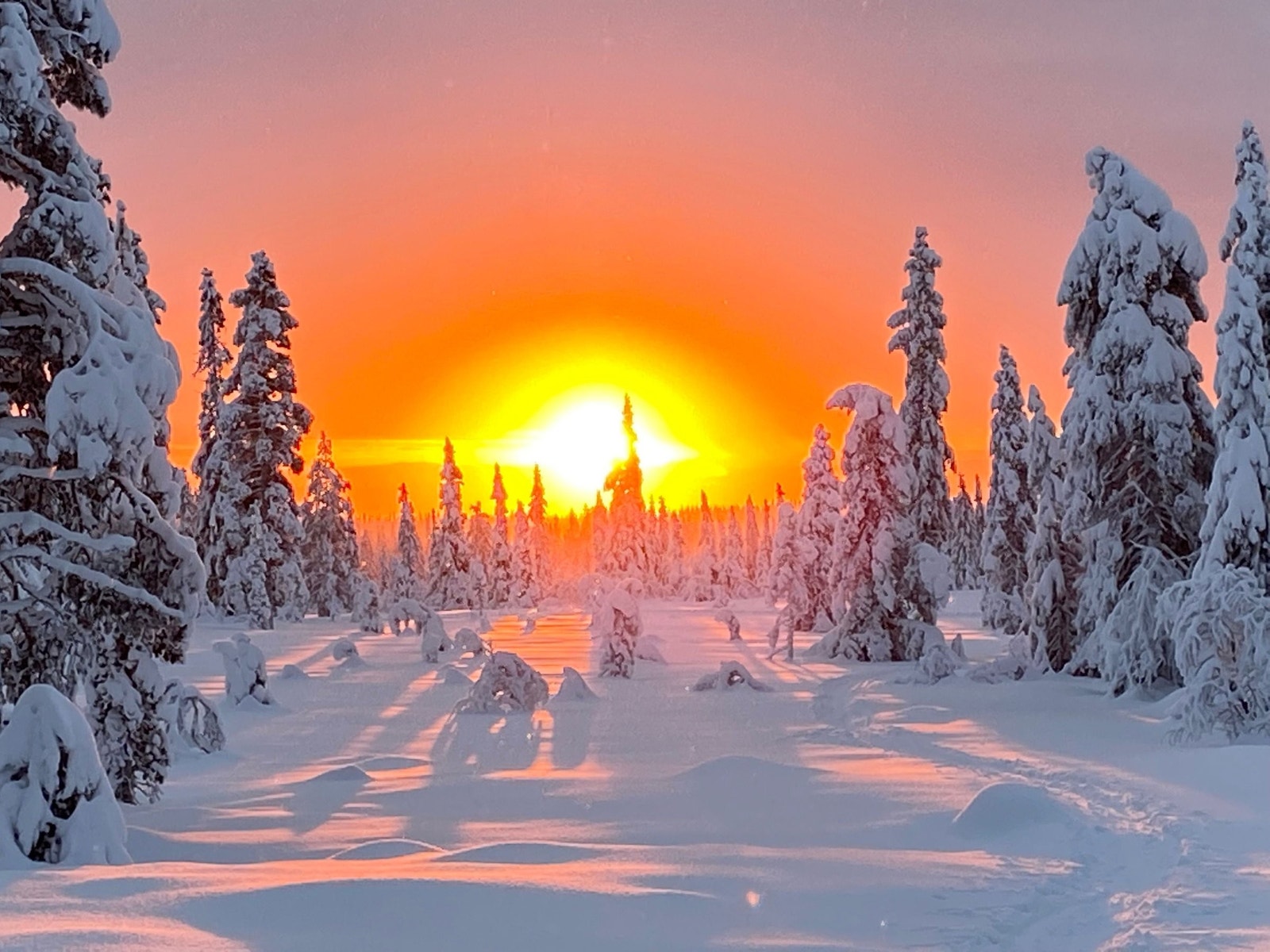 Utsikt fra terrassen. Galleribilde