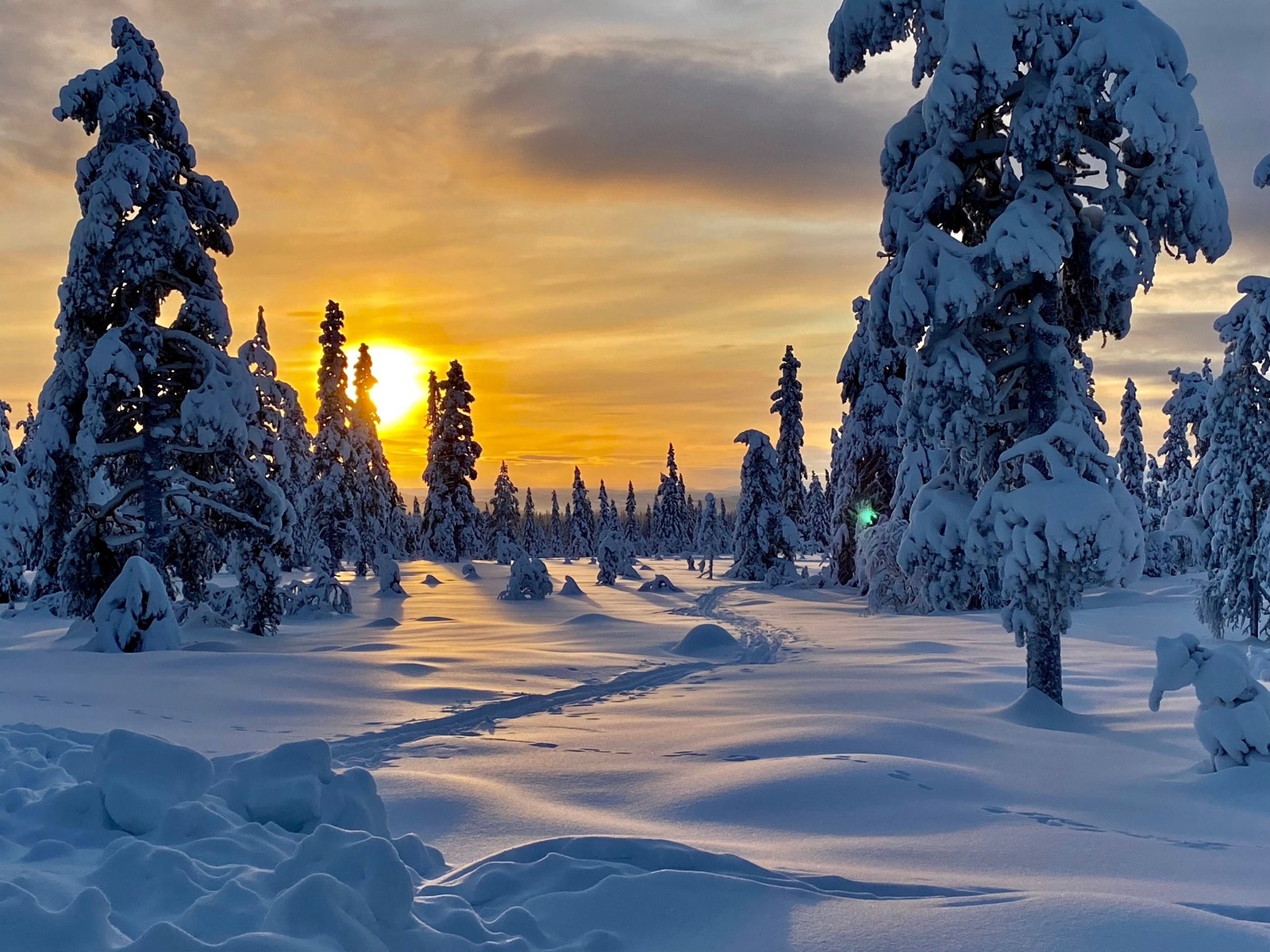 Utsikt fra terrassen. Spor ned til preparerte løyper. Galleribilde