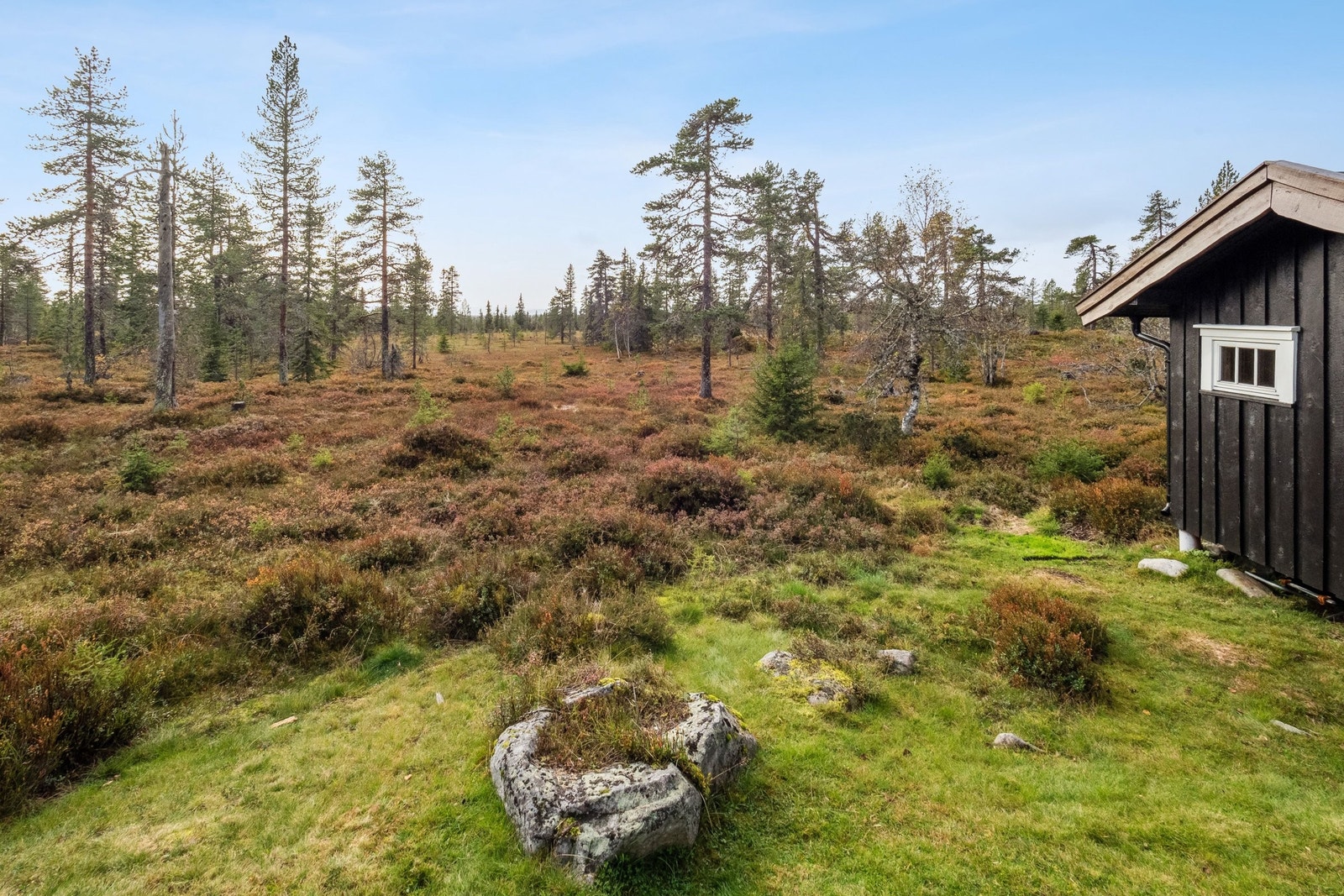 Uteområde Galleribilde