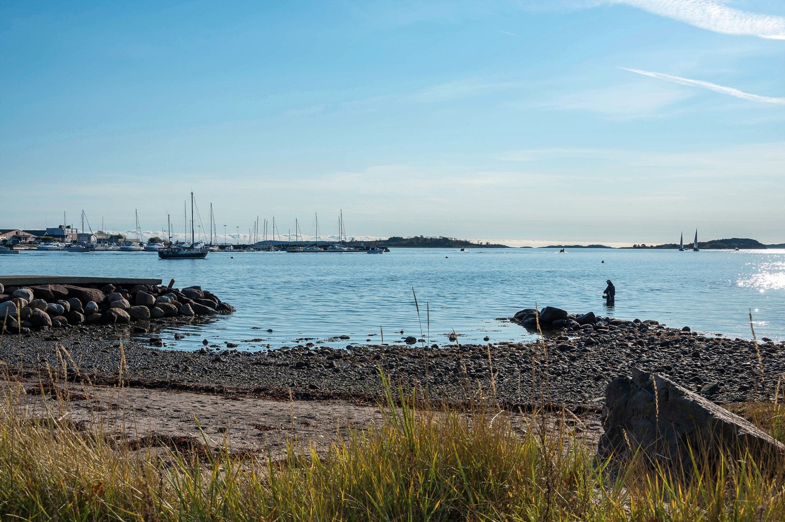 Nærområdet/Lille Bogen Galleribilde