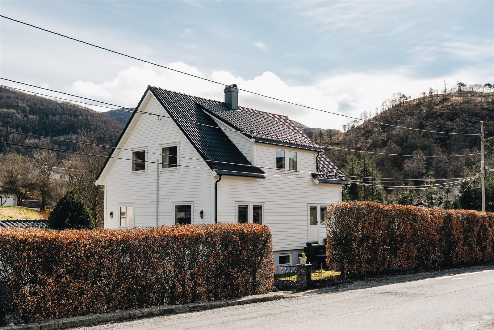 Hele tomten er rammet inn av gjerde, en flott, tett bøkehekk og port Galleribilde
