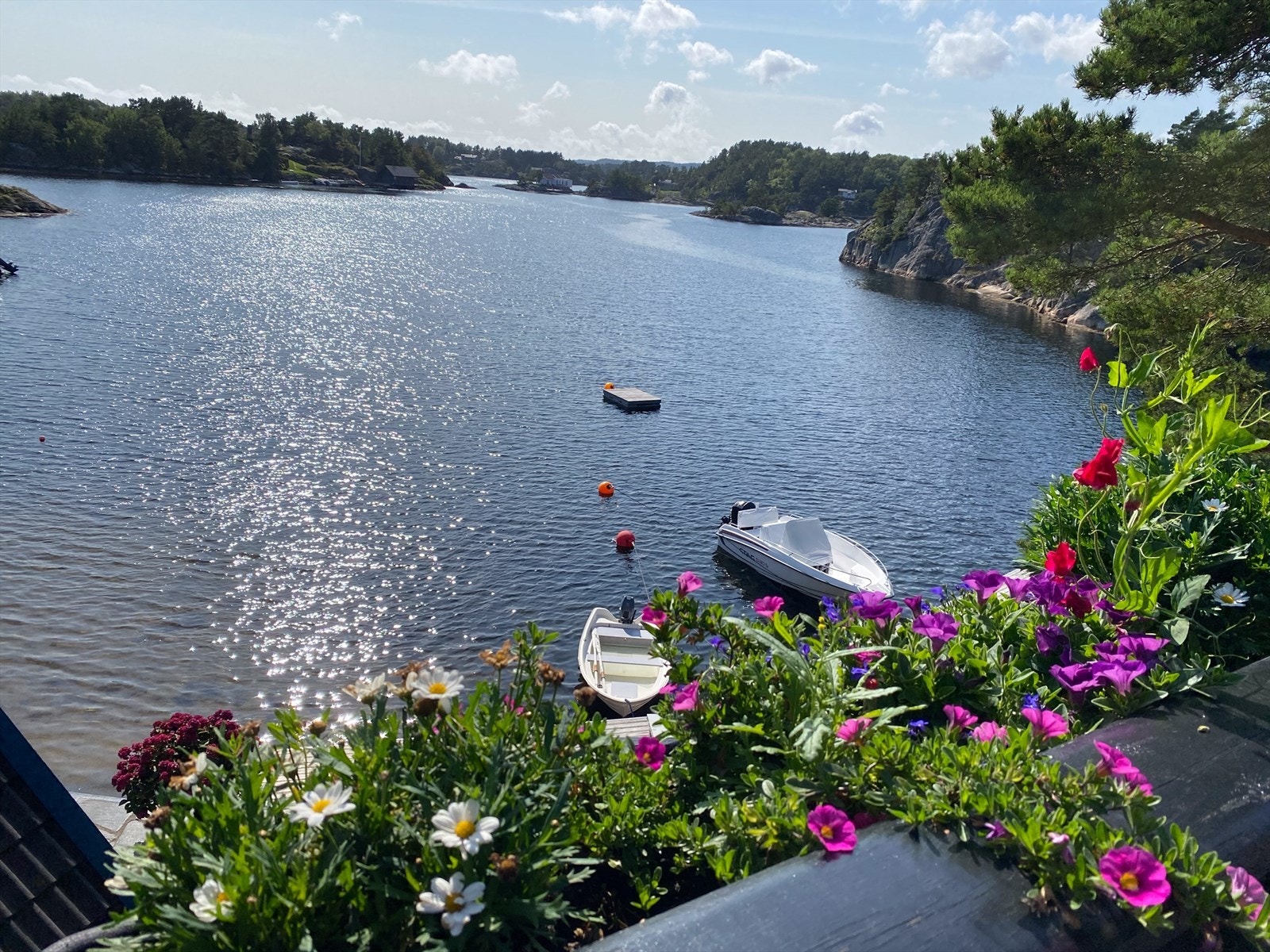 Fantastisk plass Galleribilde