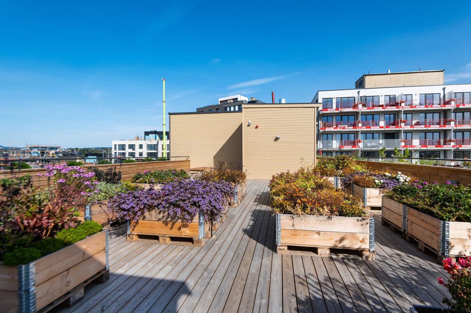 Borettslaget har fire takterrasser å benytte seg av. Galleribilde