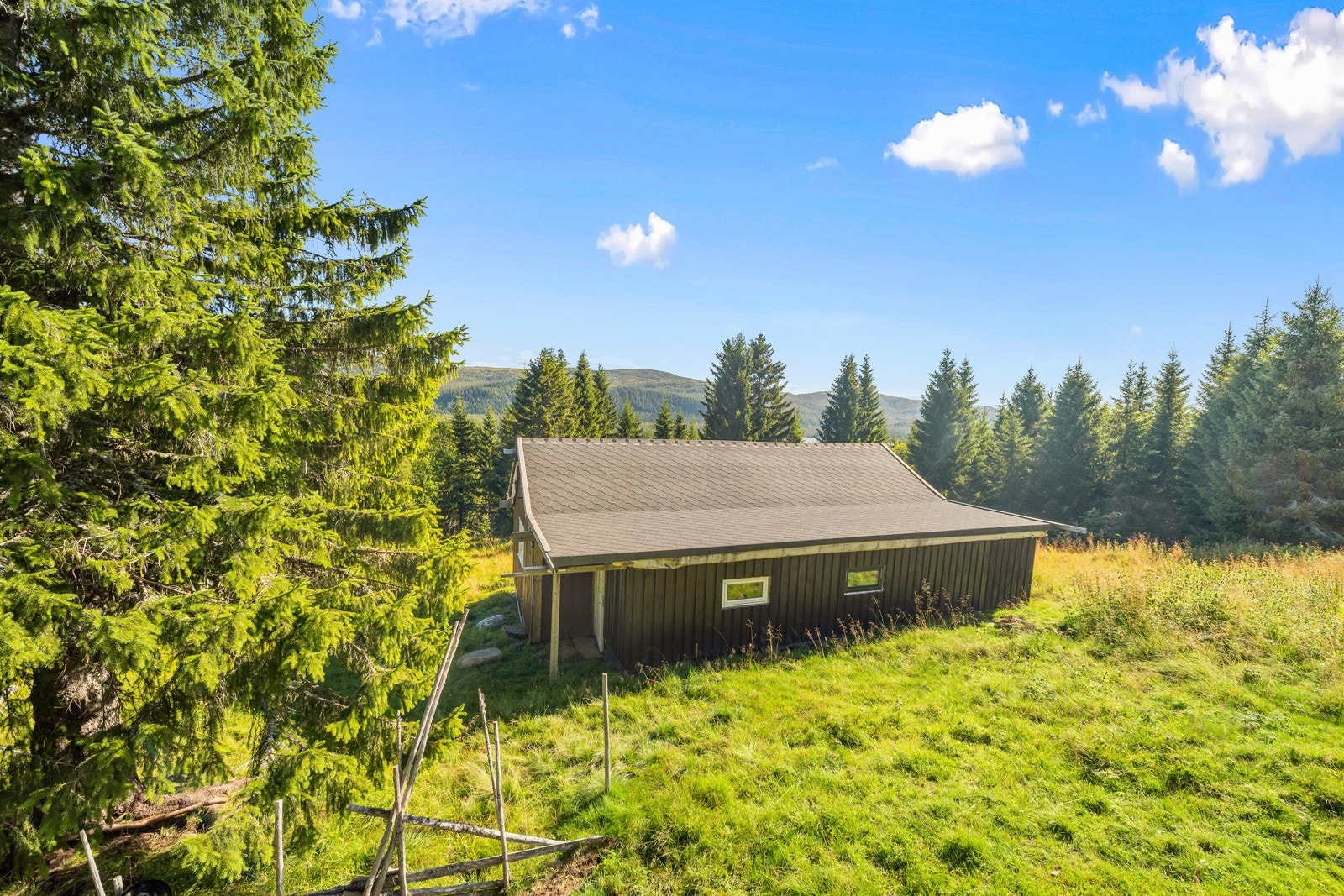 Hytta ligger i øvre del av feltet, ca 340 moh i en lysning i skoen. Galleribilde
