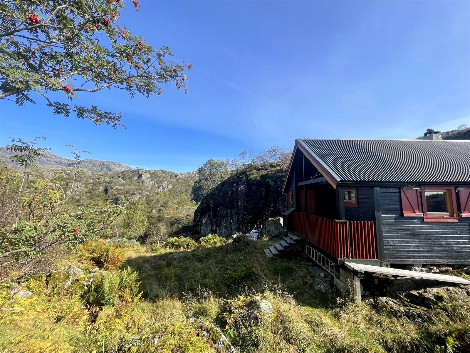 Naturtomt. Tjern ligger 50m
bak hytta Galleribilde