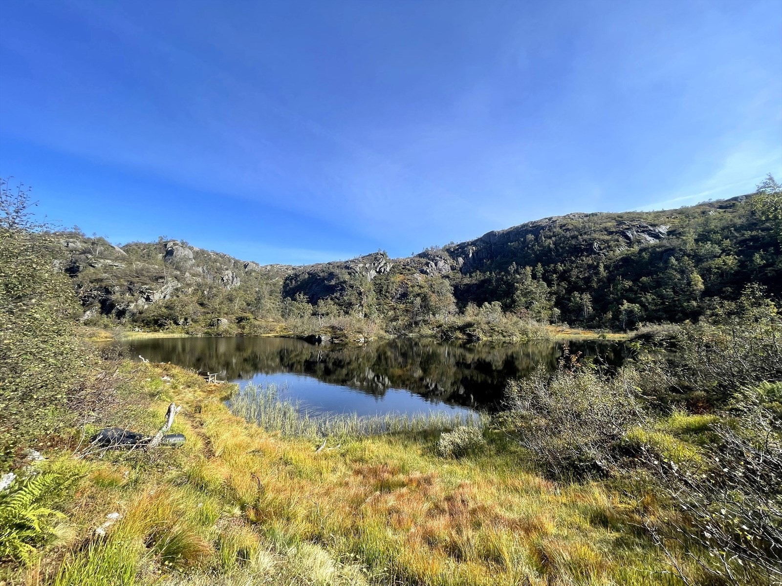 Idyllisk tjern som ligger 50m bak hytta Galleribilde