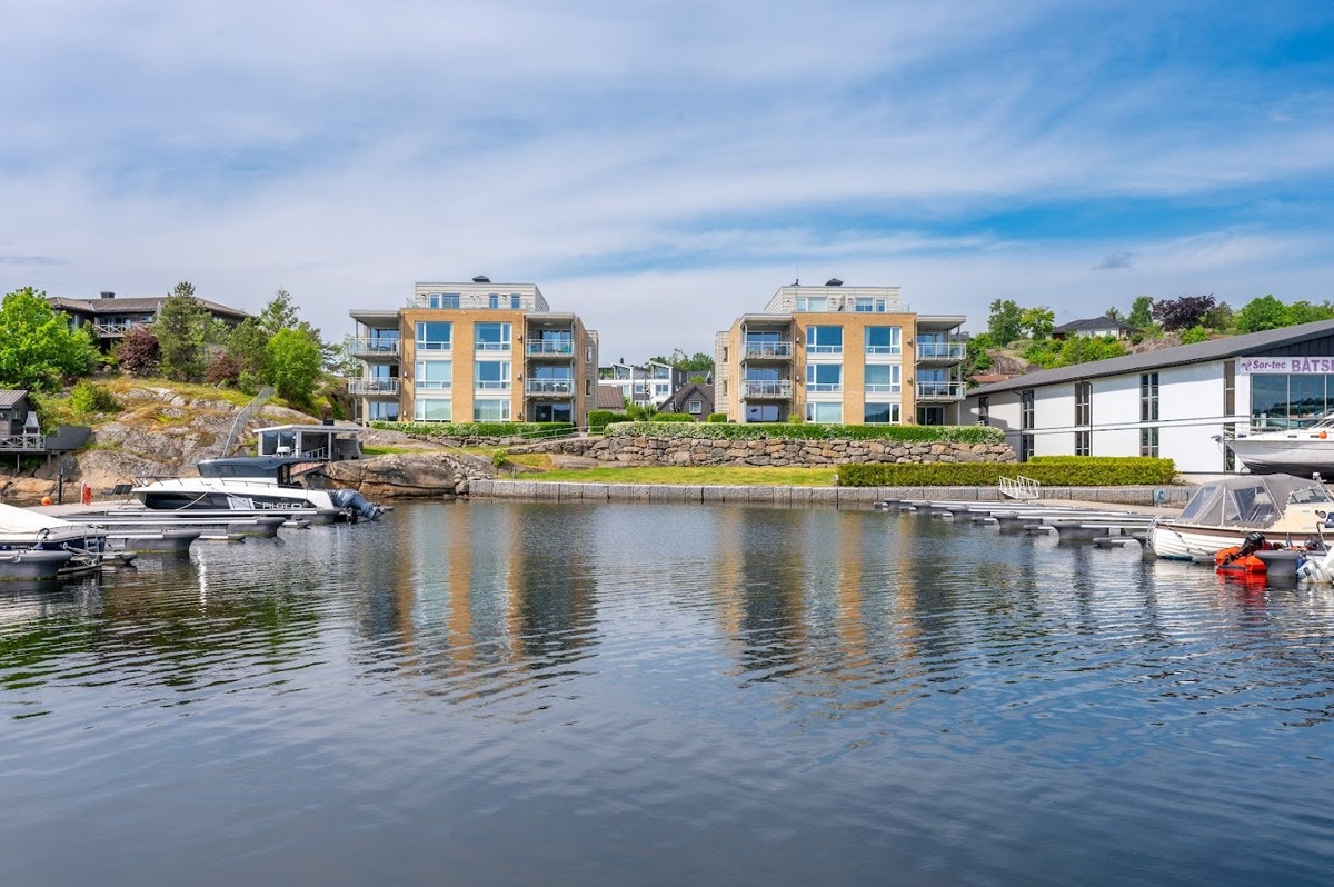Sommer i Sandefjord Galleribilde