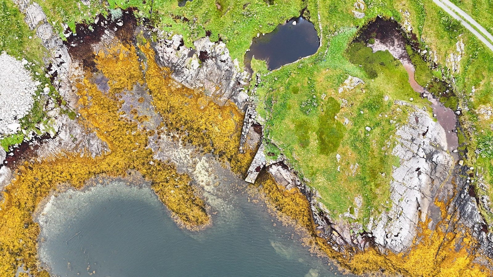 Medfølger nausttomt på 2 516 m2, som ligger på et høydedrag på ei "halvøy" ca. 150 meter sørvest for fritidsboligen. Galleribilde