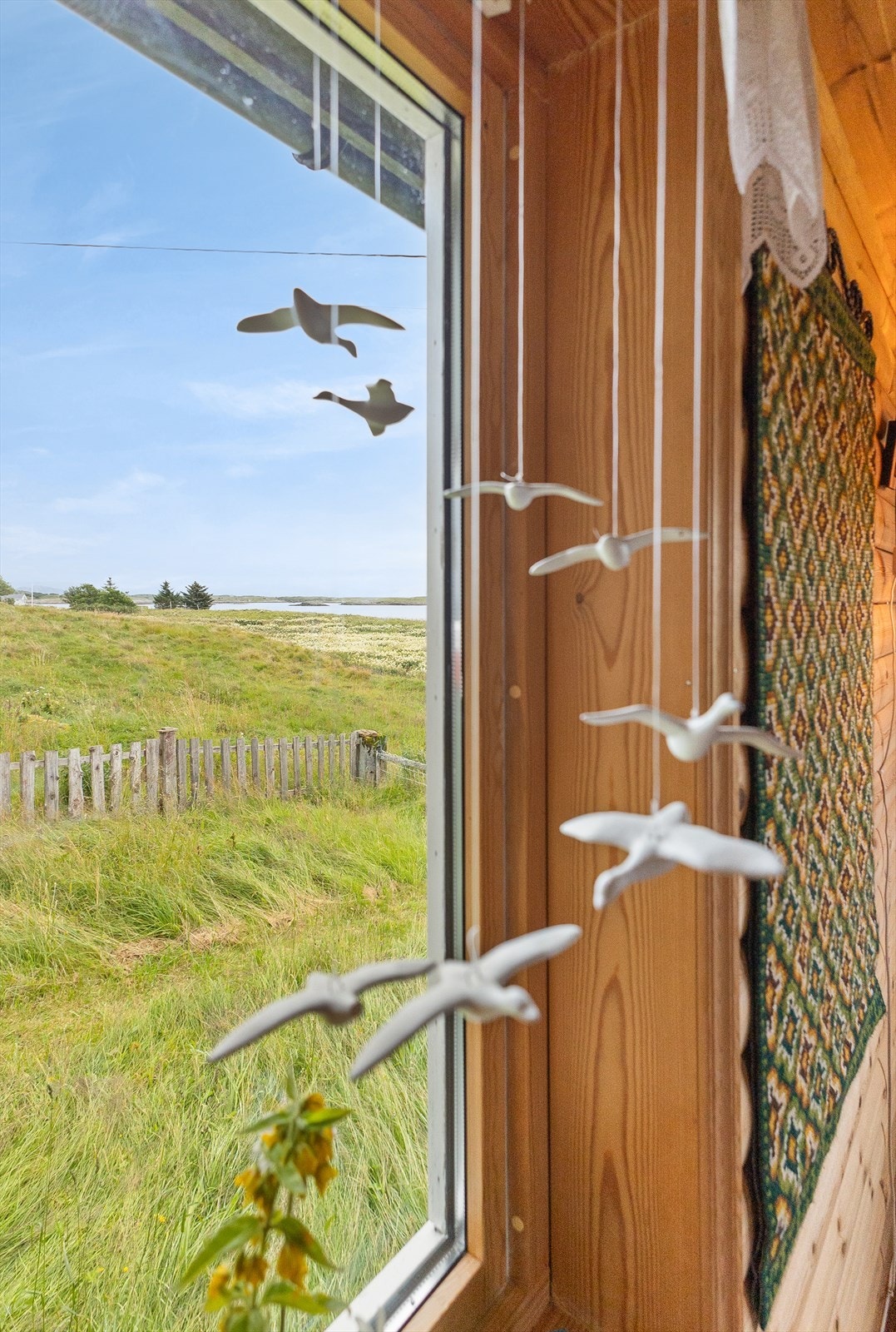 Utsikt fra stue vindu. Galleribilde