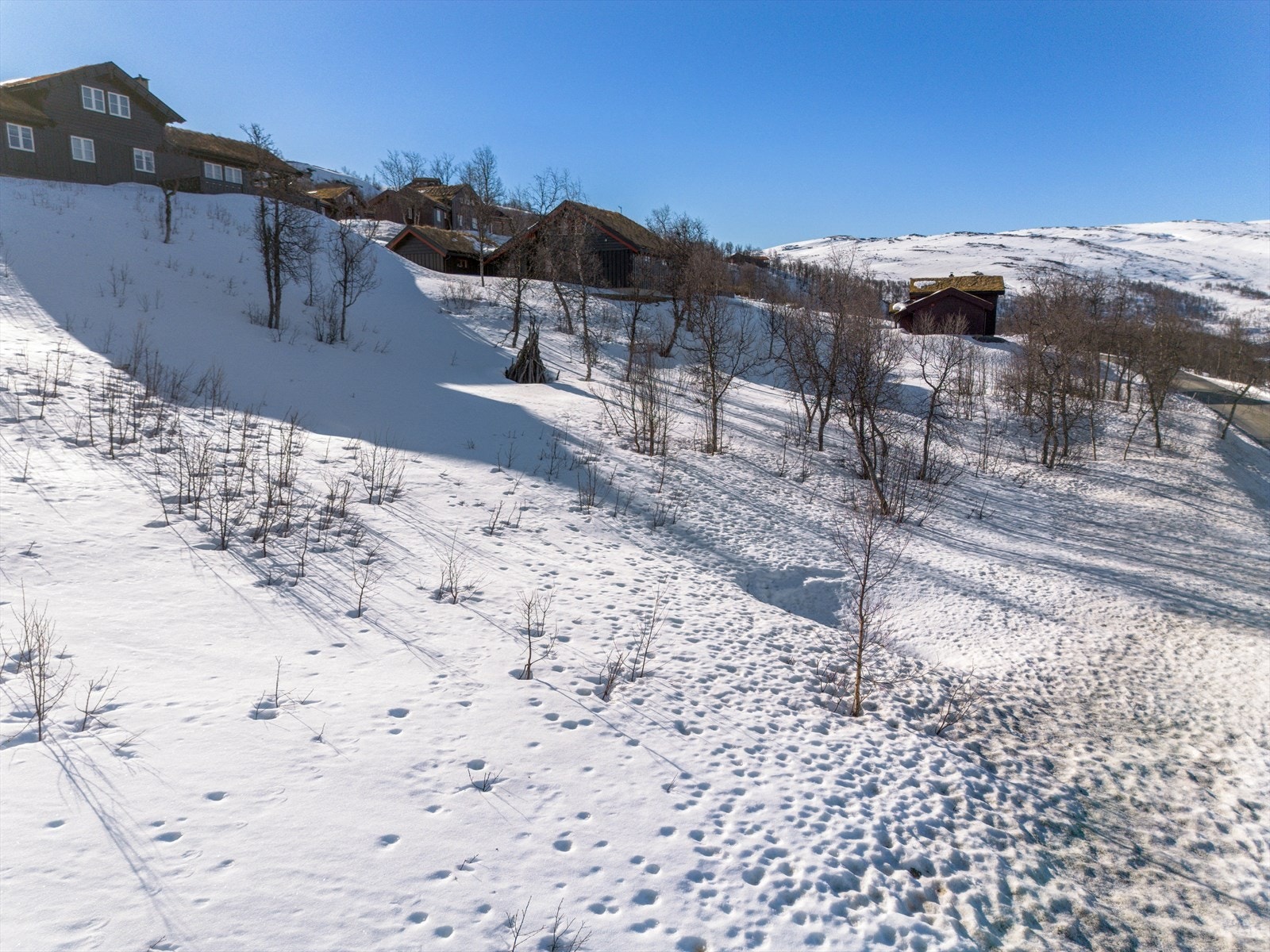 Tyin-Filefjell har en unik natur og blir regnet som inngangsporten til Jotunheimen nasjonalpark Galleribilde