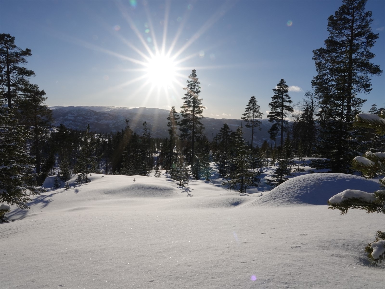Slåttelia er det nyeste feltet på Turufjell hvor du finner tomter beliggende i dagens alpinanlegg - naturskjønt og romslige tomter. Tomter inkl infrastruktur til tomtegrense Galleribilde