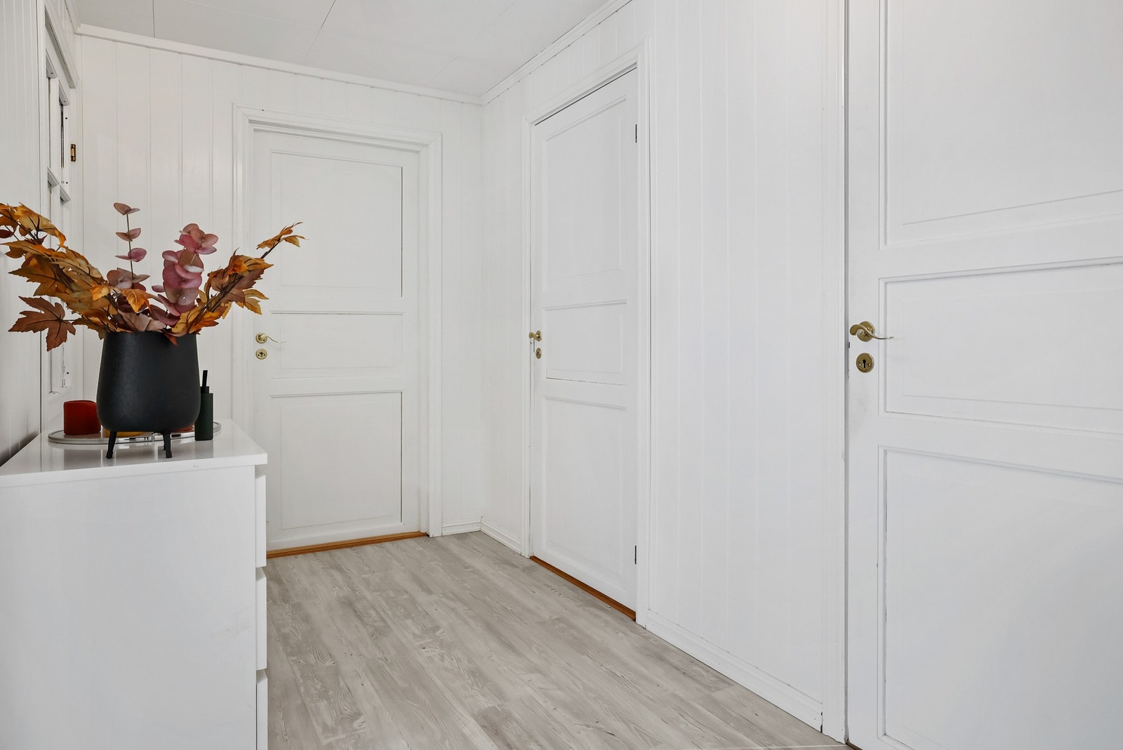 Mellomgang Galleribilde