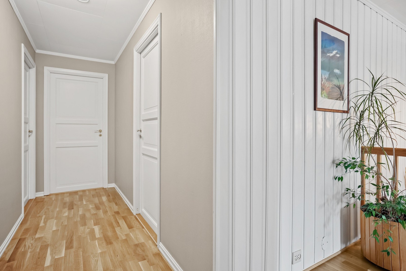 Mellomgang Galleribilde