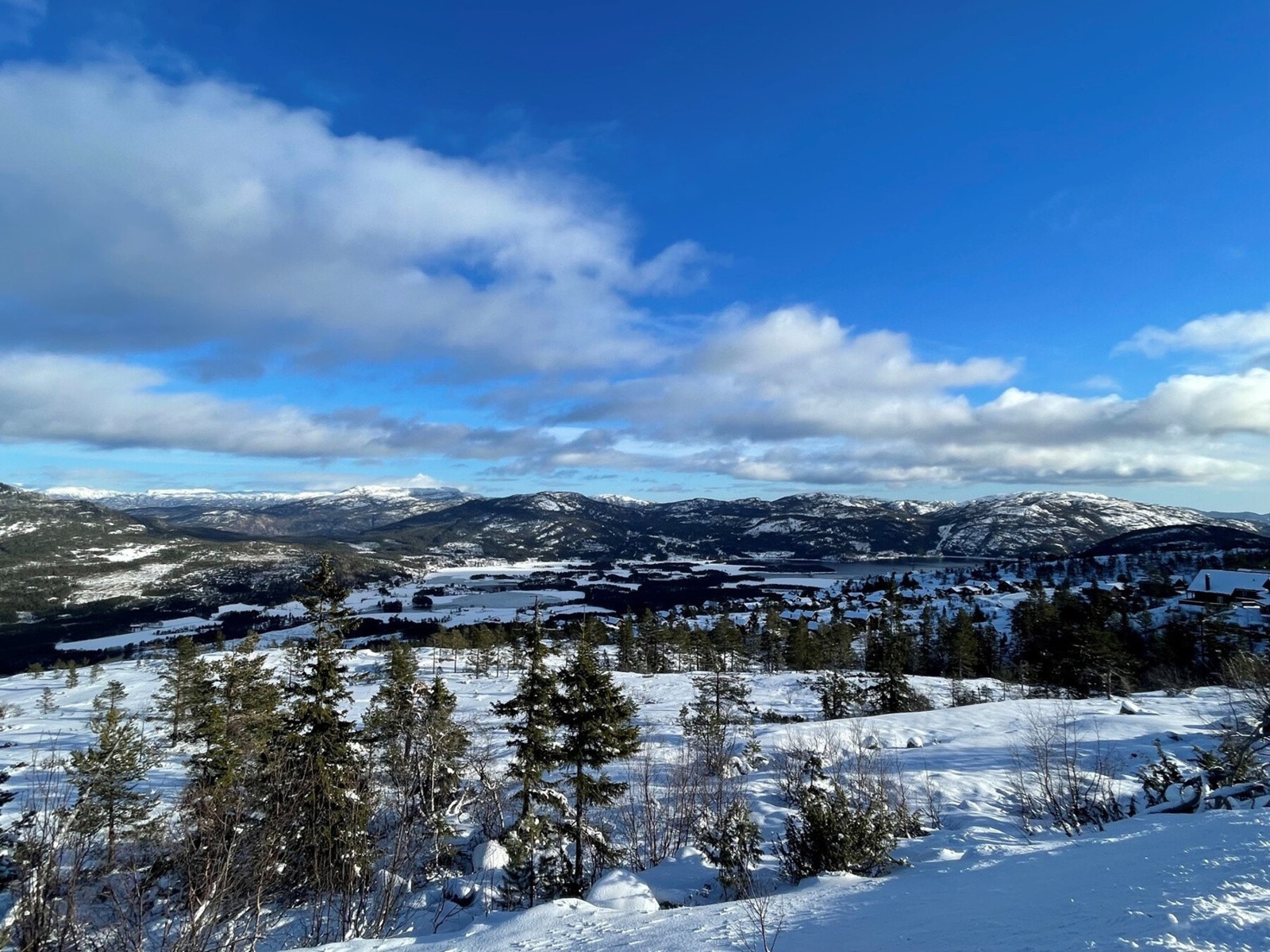 Foto fra tomteområdet Galleribilde