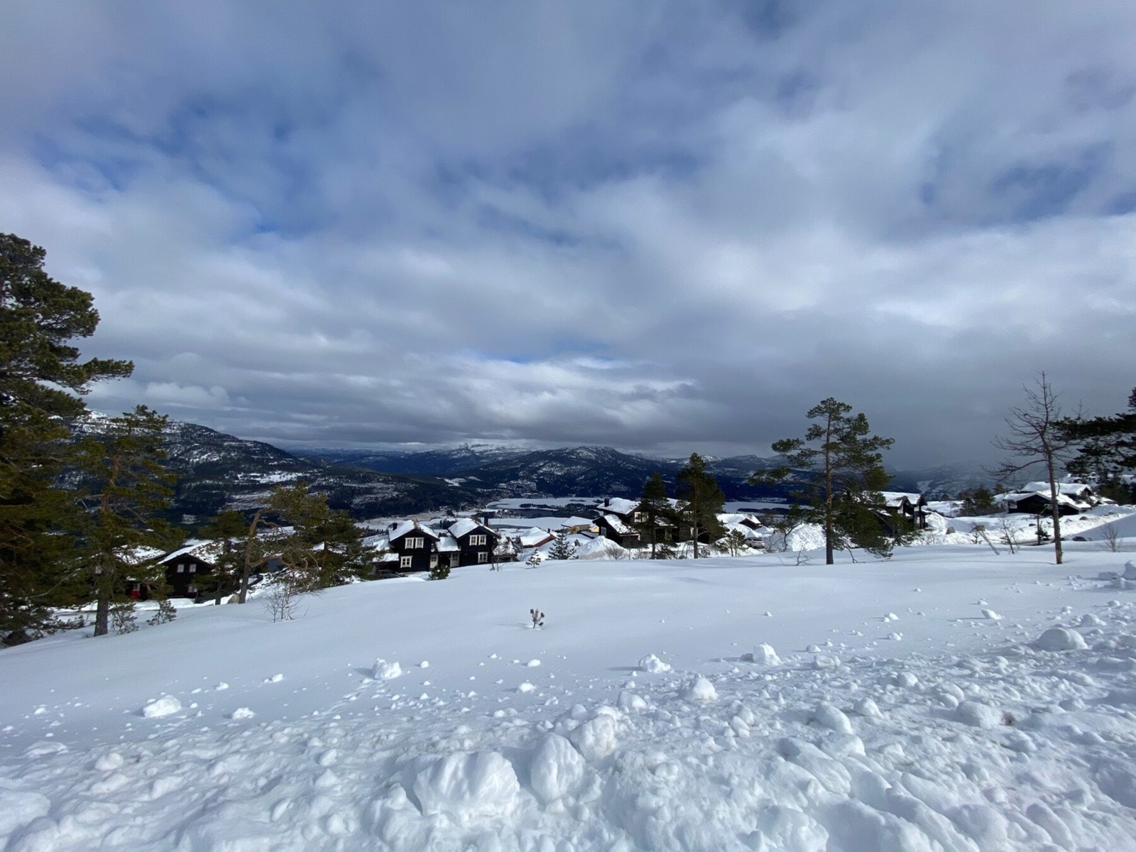 Foto fra tomteområdet Galleribilde