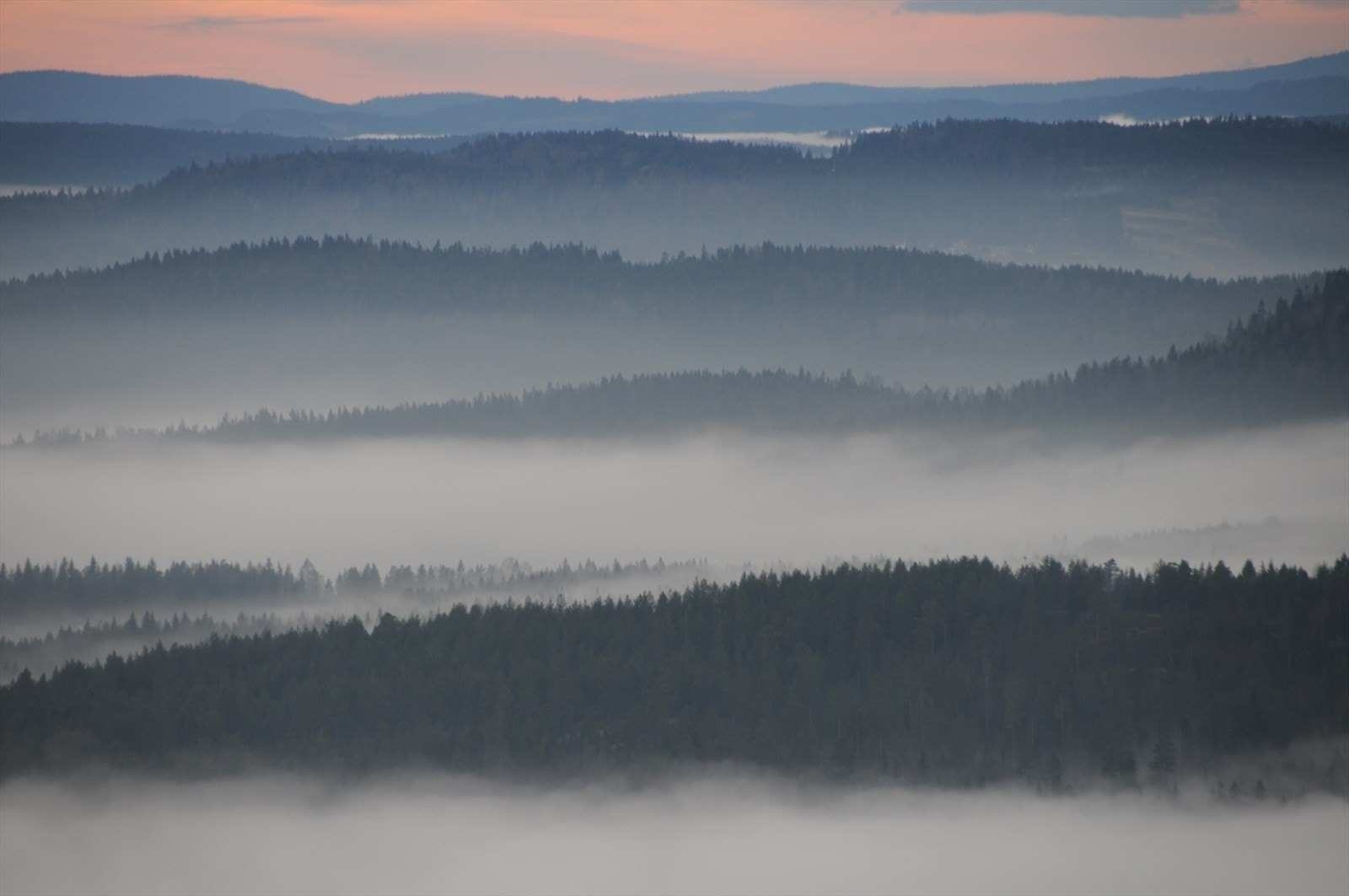 De syv blåner Galleribilde