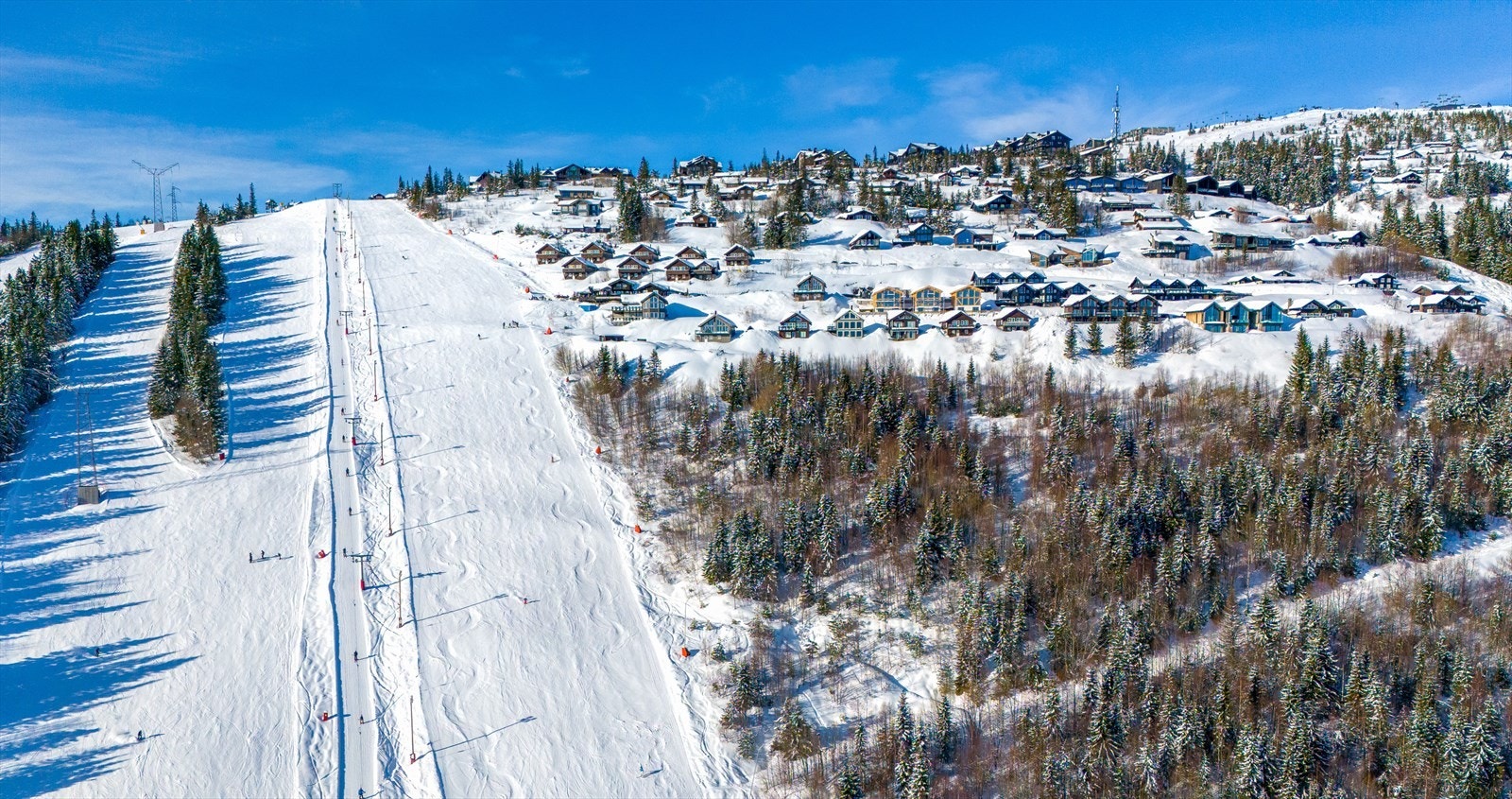 Ski in/out Galleribilde