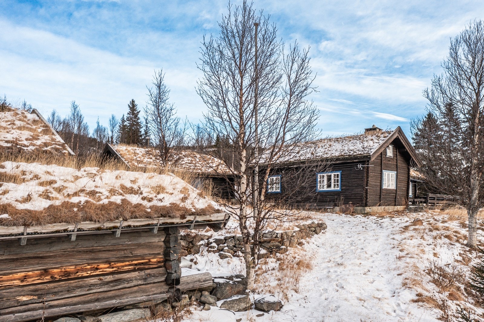 Velkommen inn på tunet! Galleribilde