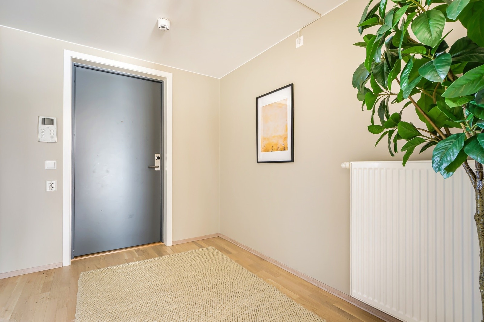 Velkommen til hyggelig visning! Galleribilde
