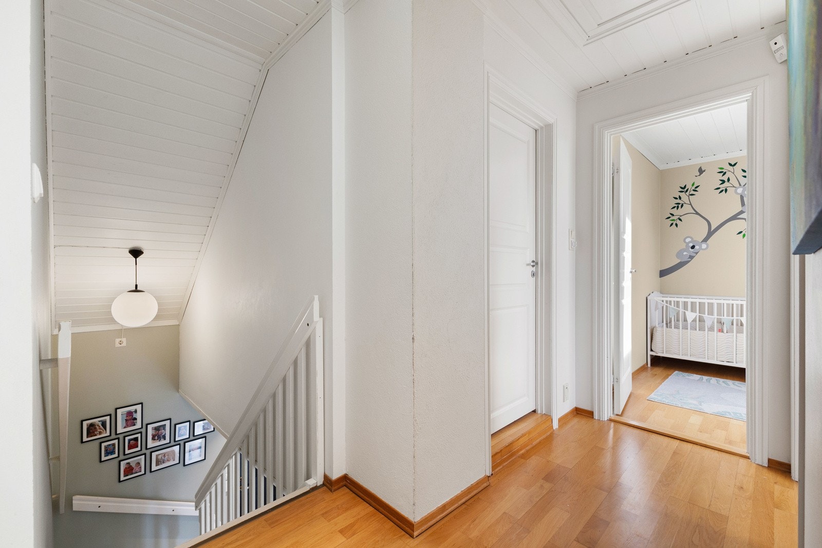 2P1A0491 Galleribilde