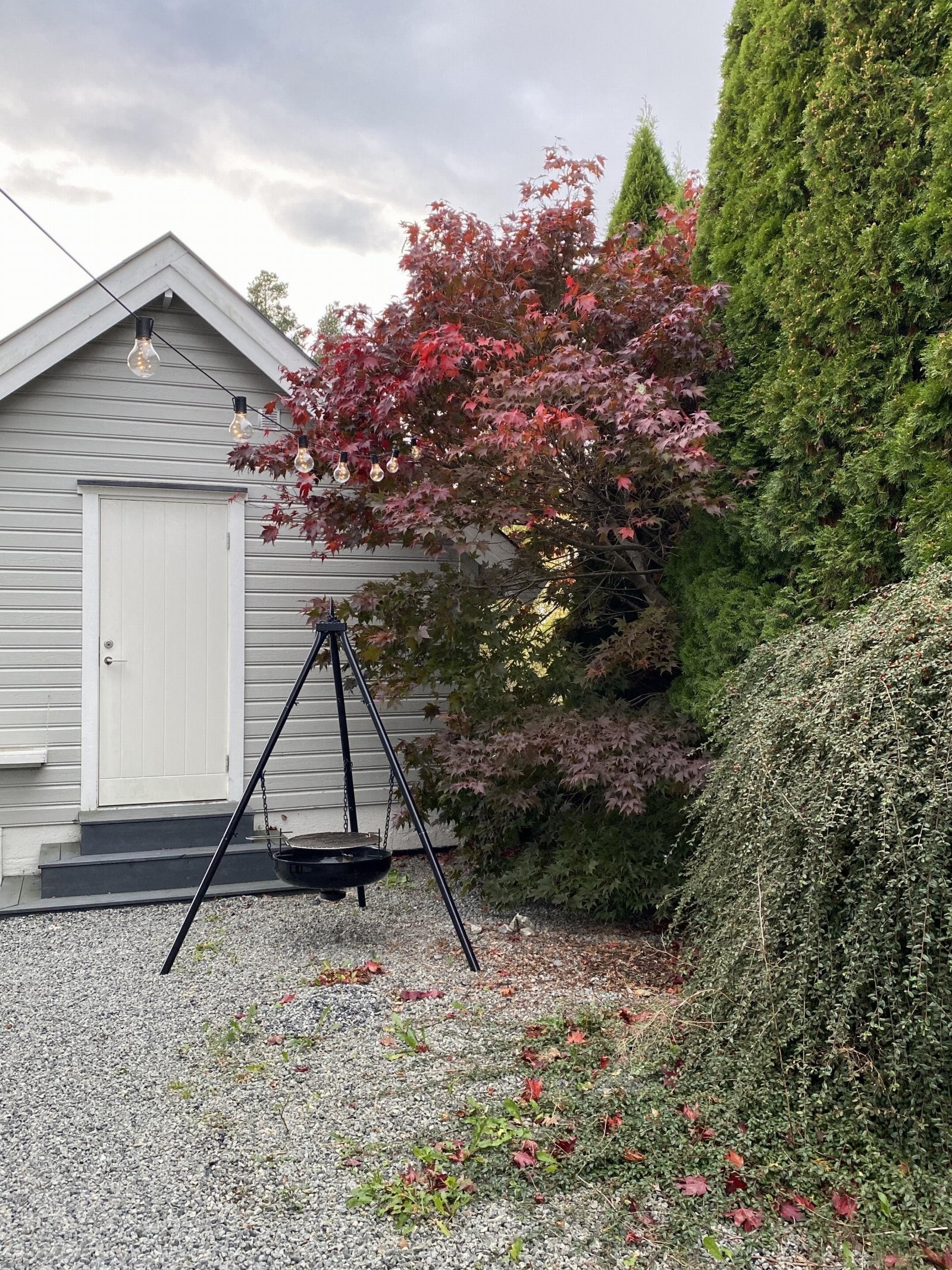 Vakkert høstre. Galleribilde