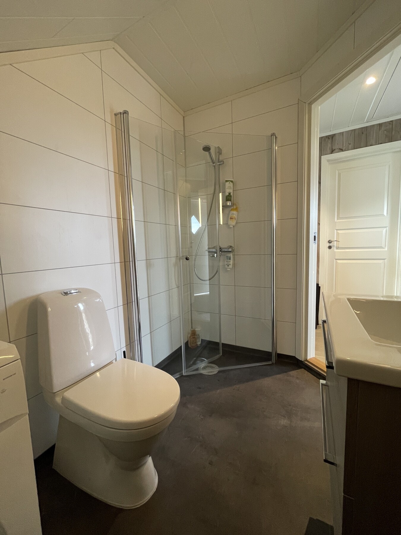 Utstyrt med toalett, servant, dusjnisje og opplegg for vaskemaskin. Galleribilde