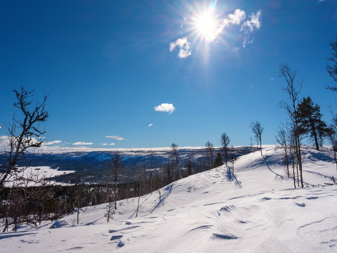 Utsikt mot Hardangervidda Galleribilde