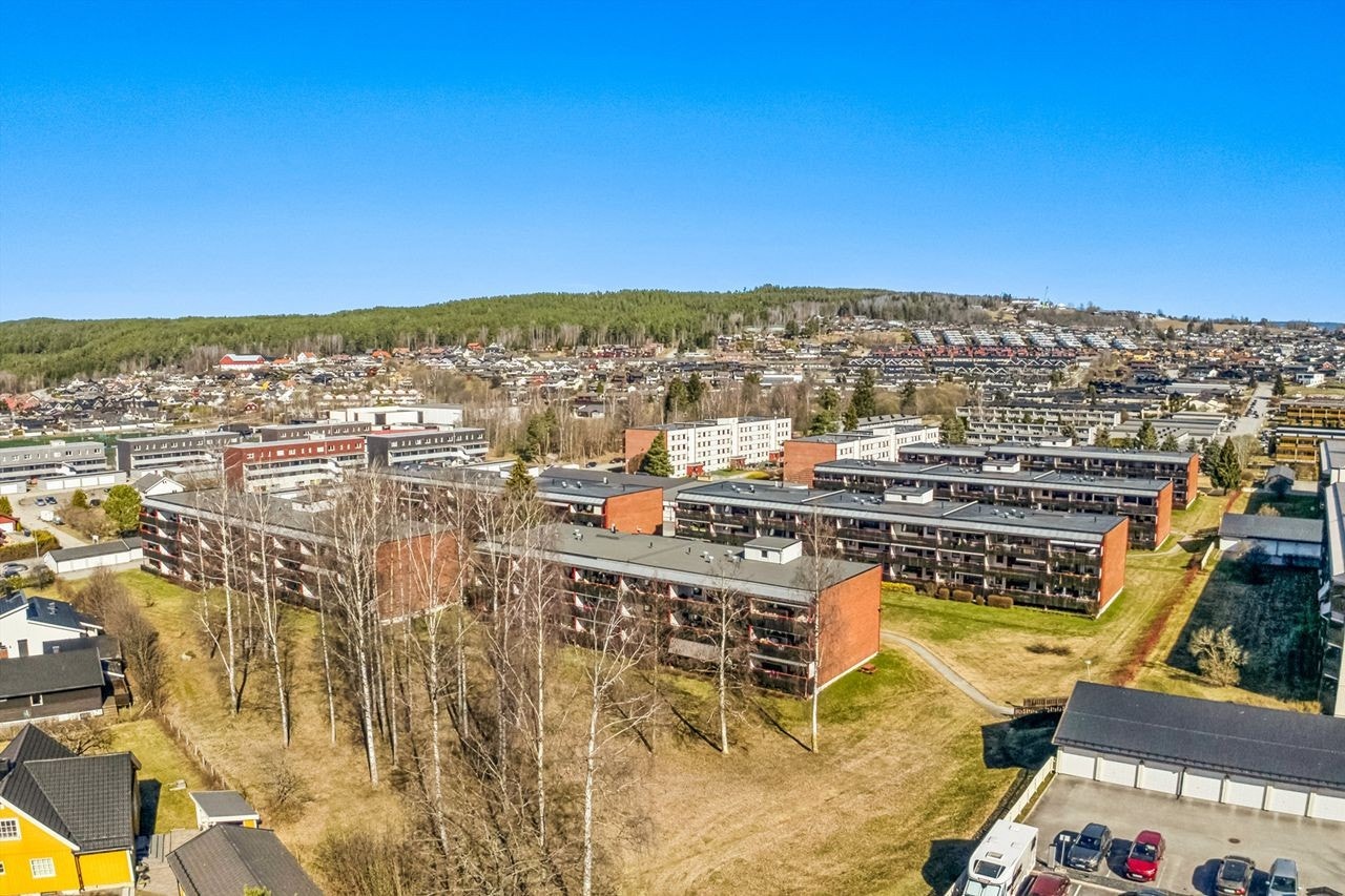 Furuberget og Hedmarkstoppen byr på fine turmuligheter året rundt Galleribilde