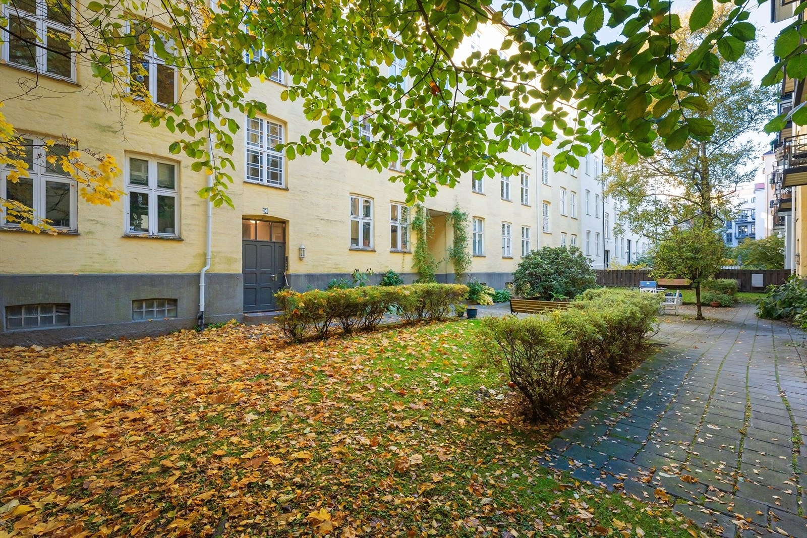 Frodig bakgård med skjermet beliggenhet i grønne omgivelser. Galleribilde