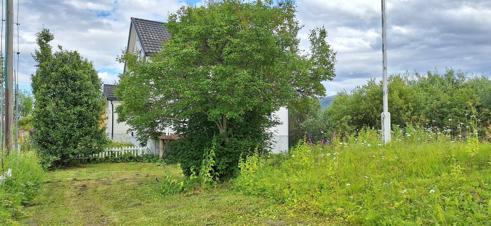 Privat bilde. Galleribilde