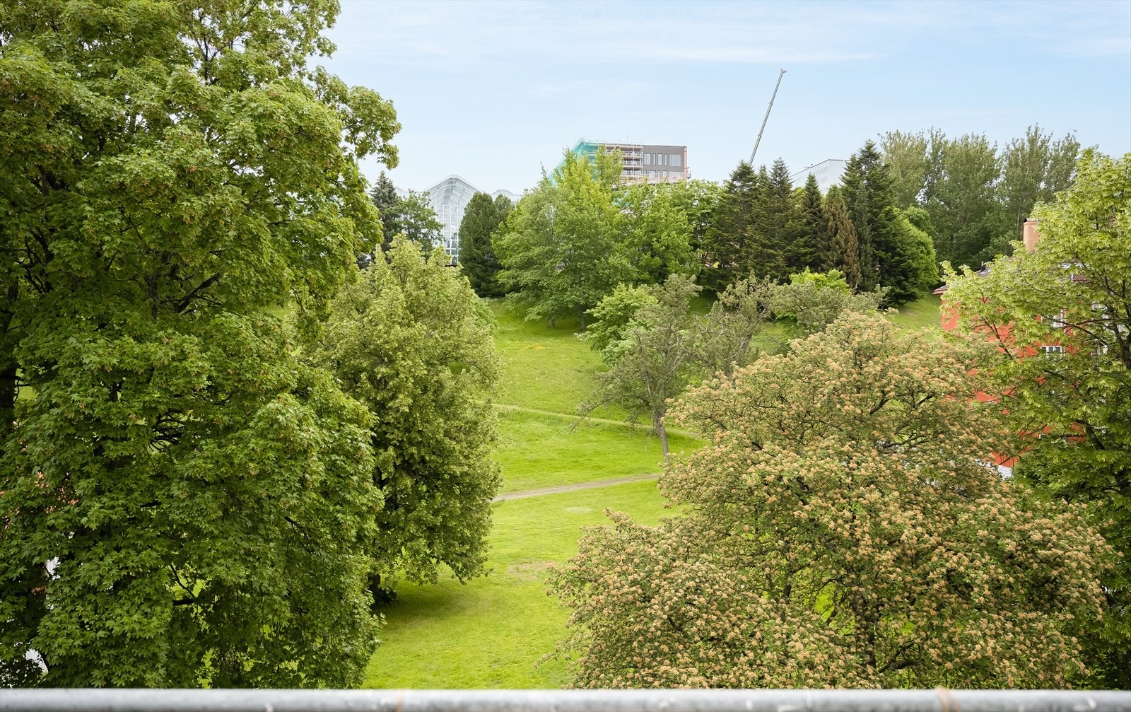 Balkongen vender ut mot frodige Høyskoleparken, som er et populært samlingssted om sommeren. Her kan man nyte morgen- og formiddagssol. Galleribilde